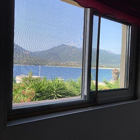 T3 Propriano Pied Dans L'Eau Apartment Luaran gambar